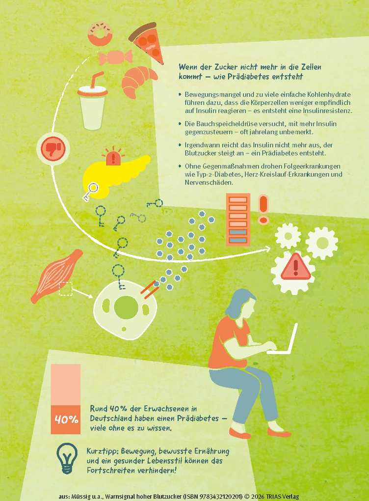 Weitere Ansicht: Warnsignal hoher Blutzucker | Karsten Müssig, Andrea Stallmann, Marlen Harms