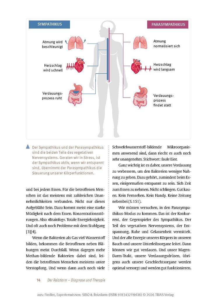Weitere Ansicht: Expertenwissen: SIBO & Reizdarm | Thomas Fiedler