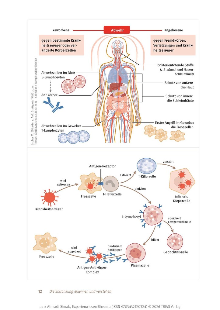 Weitere Ansicht: Expertenwissen: Rheuma | Keihan Ahmadi-Simab