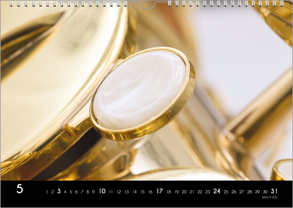 Weitere Ansicht: Musikinstrumente, ein Musik-Kalender 2026, DIN A3 | Peter Bach jr.