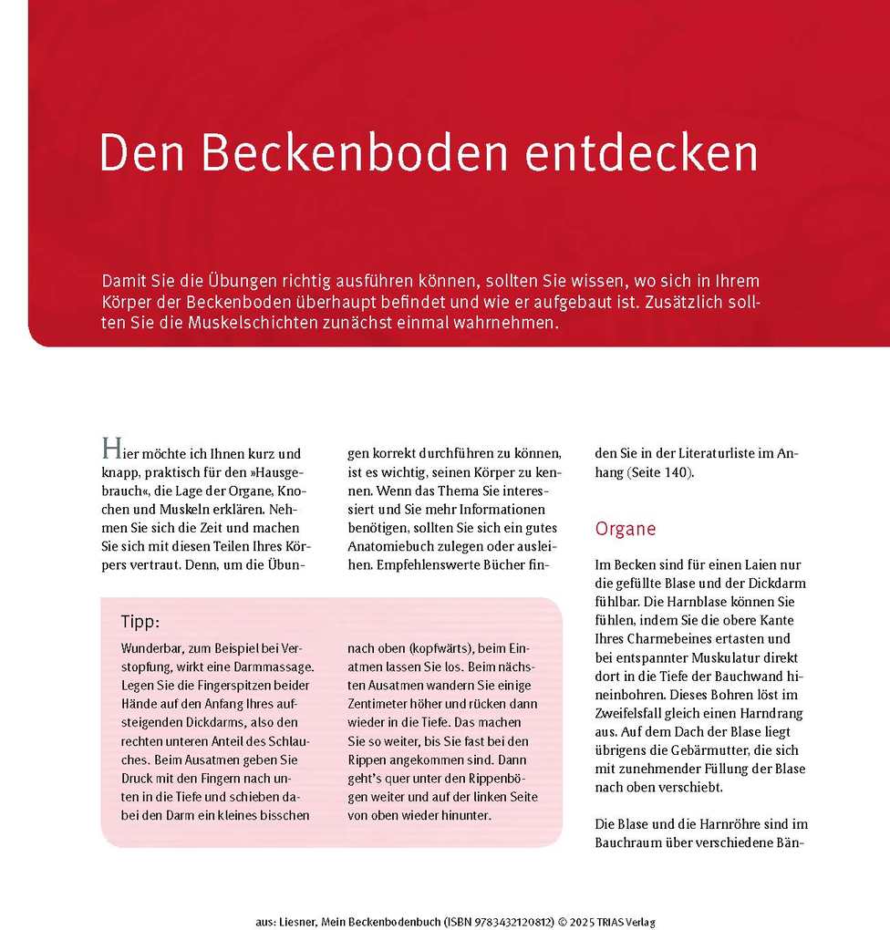 Weitere Ansicht: Mein Beckenbodenbuch | Franziska Liesner