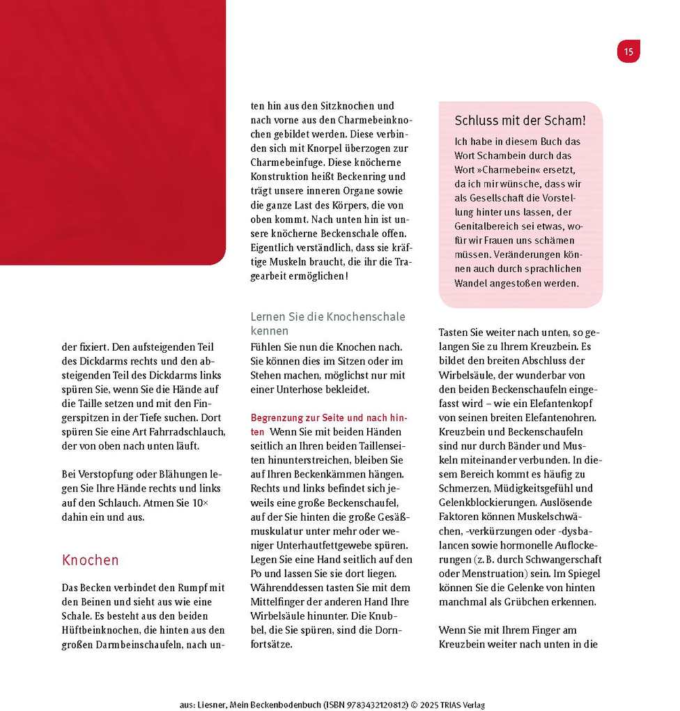 Weitere Ansicht: Mein Beckenbodenbuch | Franziska Liesner