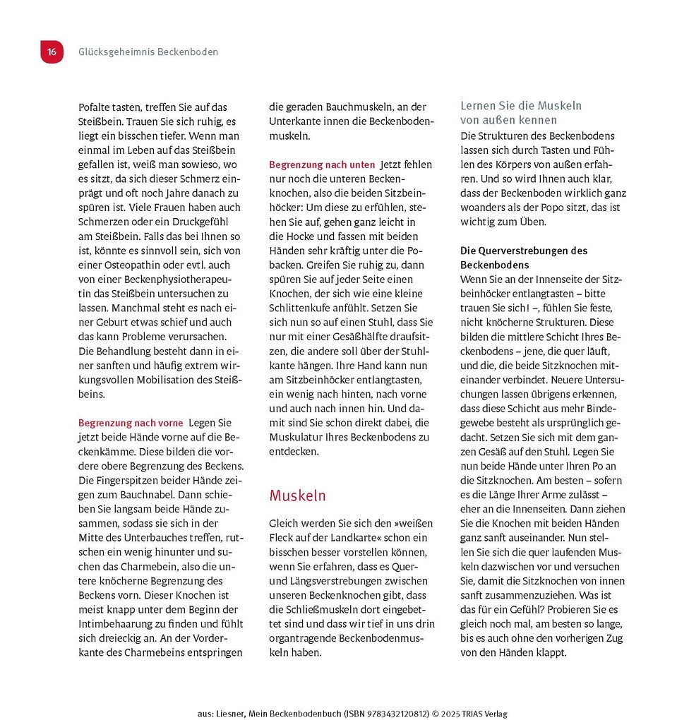 Weitere Ansicht: Mein Beckenbodenbuch | Franziska Liesner