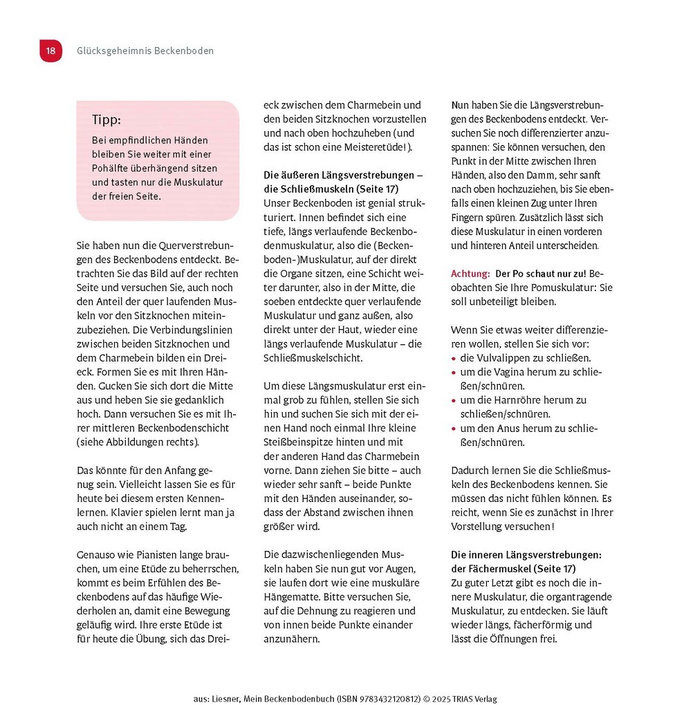 Weitere Ansicht: Mein Beckenbodenbuch | Franziska Liesner