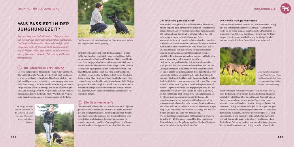 Weitere Ansicht: Welpen-Erziehung | Katharina Schlegl-Kofler