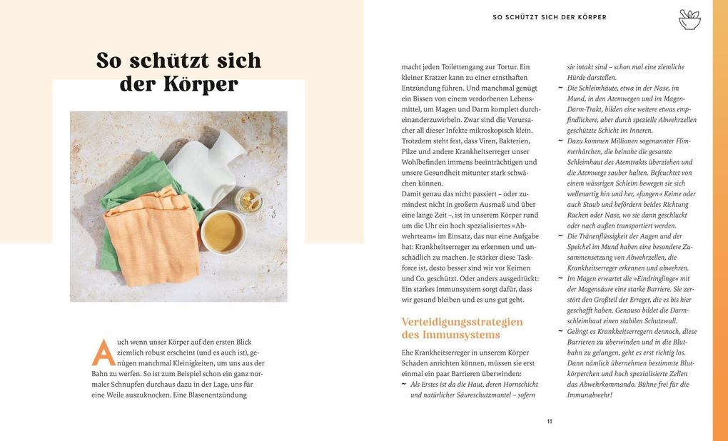 Weitere Ansicht: Meine Gesundheitsretter aus der Natur für ein starkes Immunsystem | Franziska Rubin