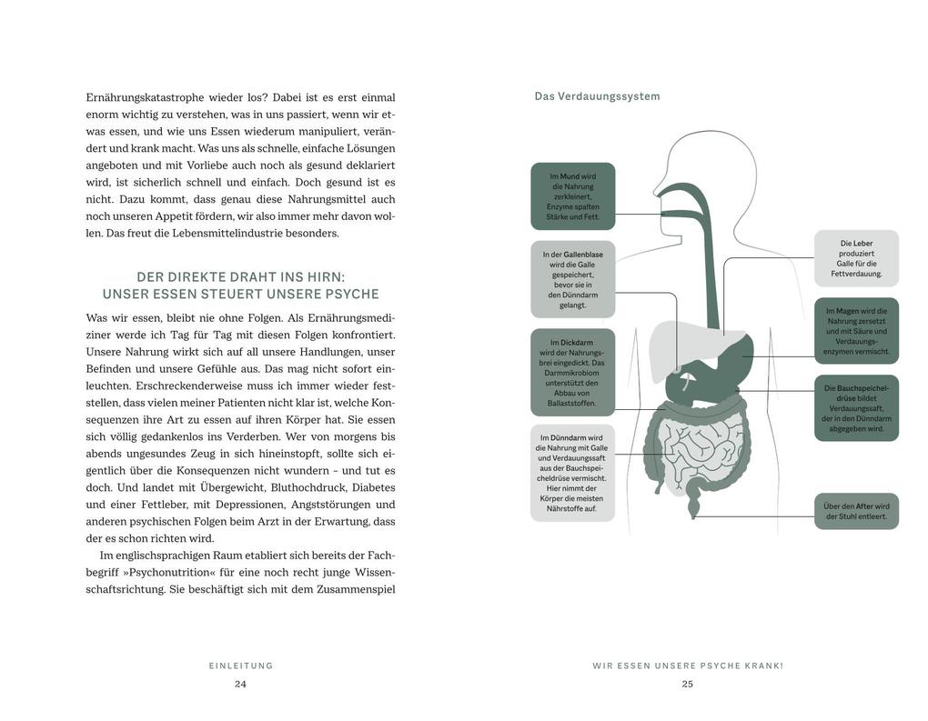 Weitere Ansicht: Das Psyche-Darm-Paradox | Matthias Riedl
