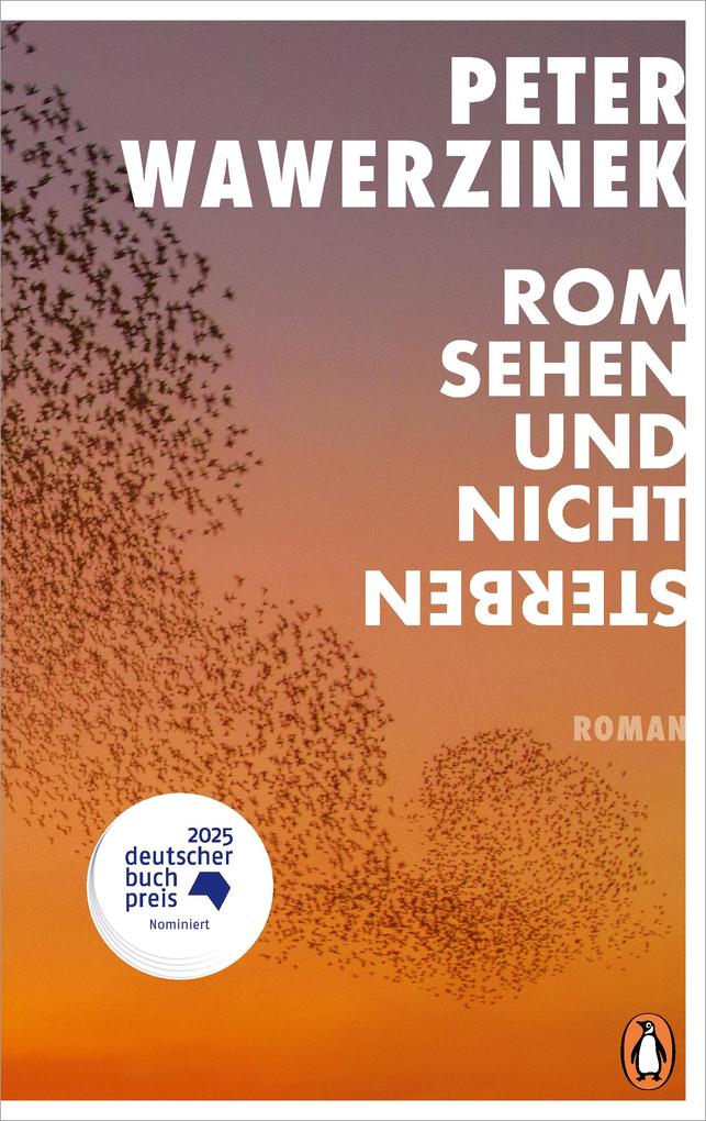 Produktbild: Rom sehen und nicht sterben | Peter Wawerzinek