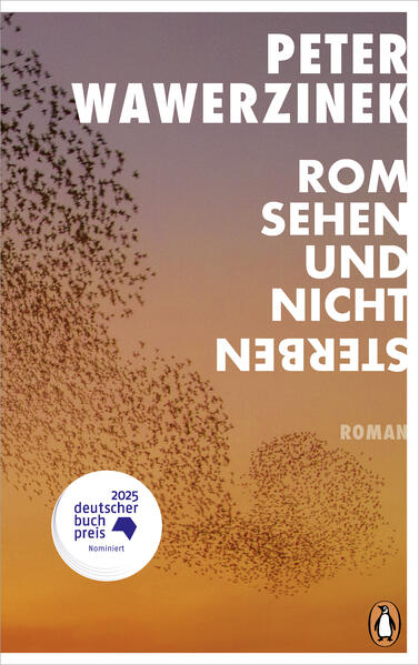 Produktbild: Rom sehen und nicht sterben | Peter Wawerzinek