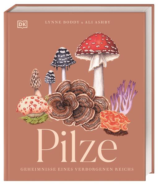 Produktbild: Pilze | Ali Ashby, Lynne Boddy
