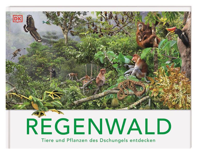 Produktbild: Regenwald | Michael Leach, Meriel Lland