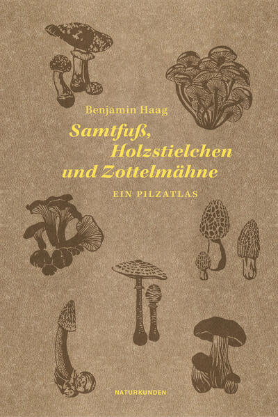 Produktbild: Samtfuß, Holzstielchen und Zottelmähne | Benjamin Haag