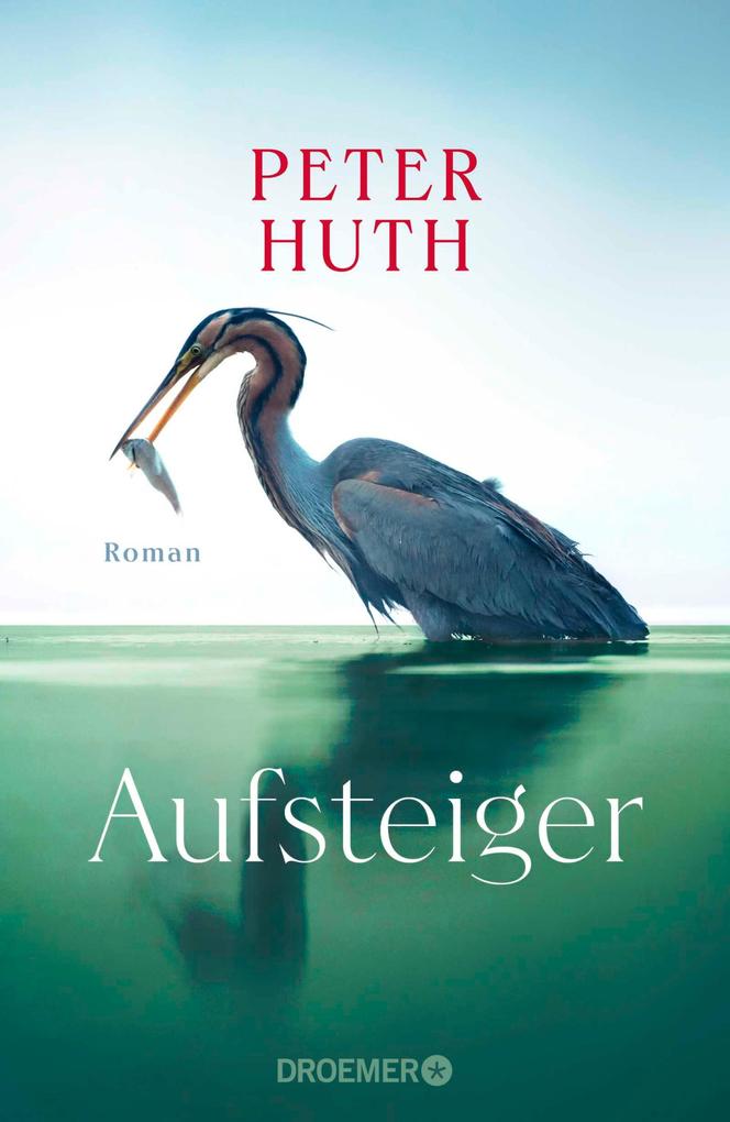 Produktbild: Aufsteiger | Peter Huth