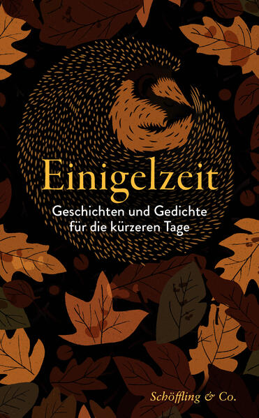 Produktbild: Einigelzeit