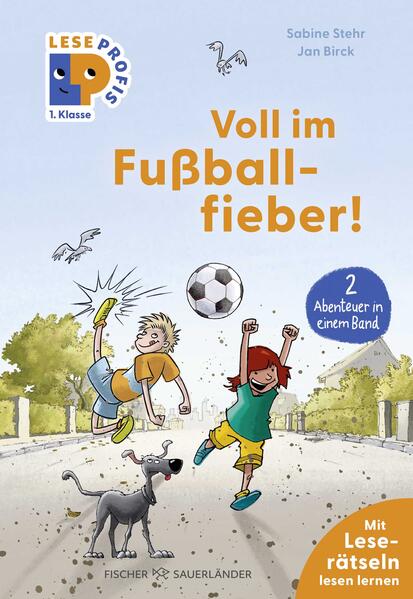 Produktbild: Leseprofis - Voll im Fußballfieber!, 1. Klasse (Doppelband) | Sabine Stehr