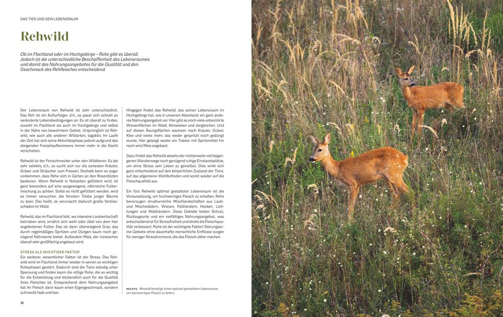 Weitere Ansicht: Das Geheimnis des Schweizer Schnitts | Karl Schmid