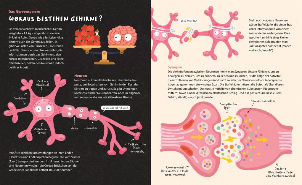 Weitere Ansicht: Dein geniales Gehirn | Philip Bunting