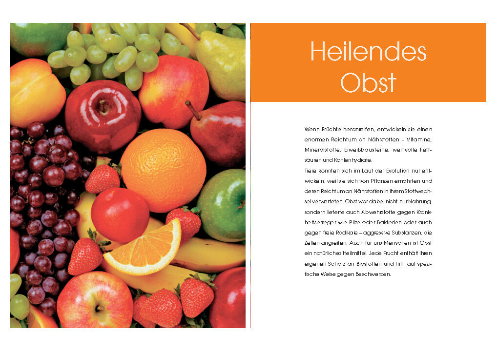 Weitere Ansicht: Obst und Gemüse als Medizin. Die besten Nahrungsmittel für Ihre Gesundheit | Klaus Oberbeil, Christiane Lentz