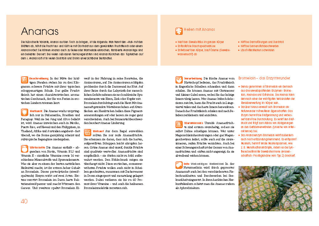 Weitere Ansicht: Obst und Gemüse als Medizin. Die besten Nahrungsmittel für Ihre Gesundheit | Klaus Oberbeil, Christiane Lentz