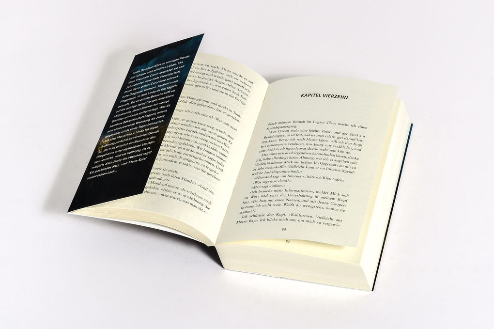 Weitere Ansicht: Die Besucherin | Joy Fielding