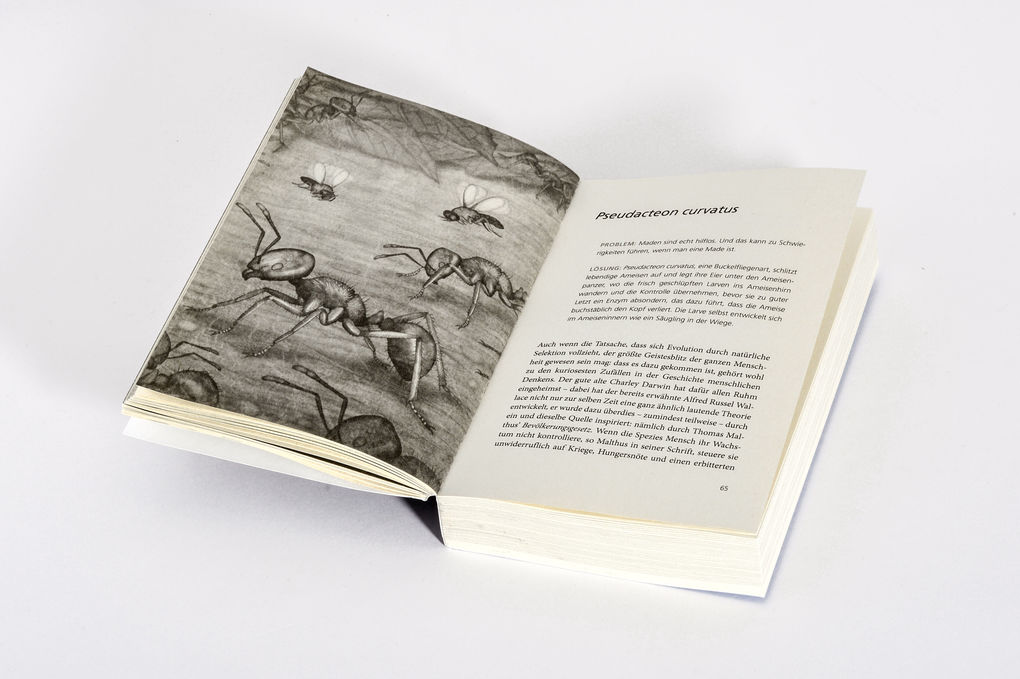 Weitere Ansicht: Die verrücktesten Überlebensstrategien in der Tierwelt | Matt Simon