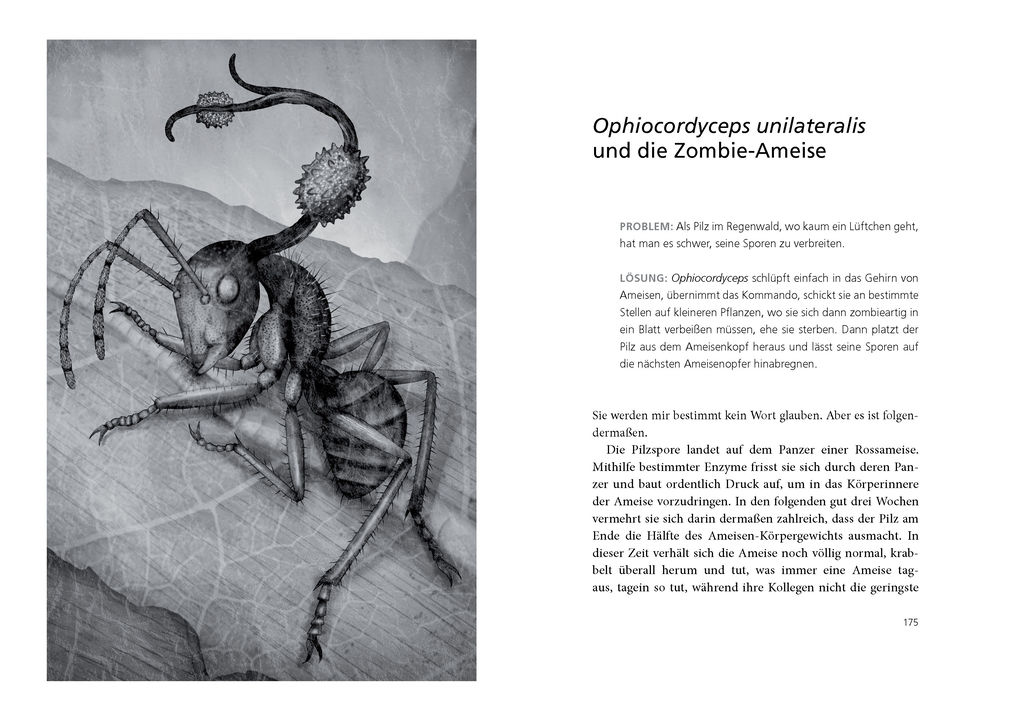 Weitere Ansicht: Die verrücktesten Überlebensstrategien in der Tierwelt | Matt Simon