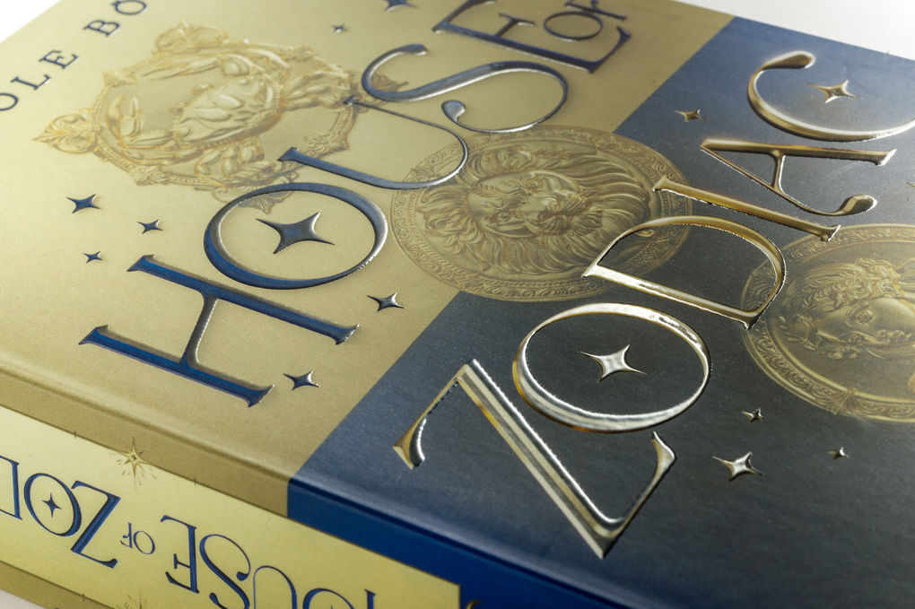 Weitere Ansicht: House of Zodiac - Kometenschauer | Nicole Böhm