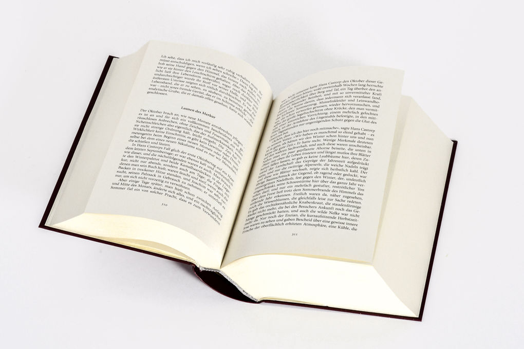 Weitere Ansicht: Der Zauberberg. Roman | Thomas Mann