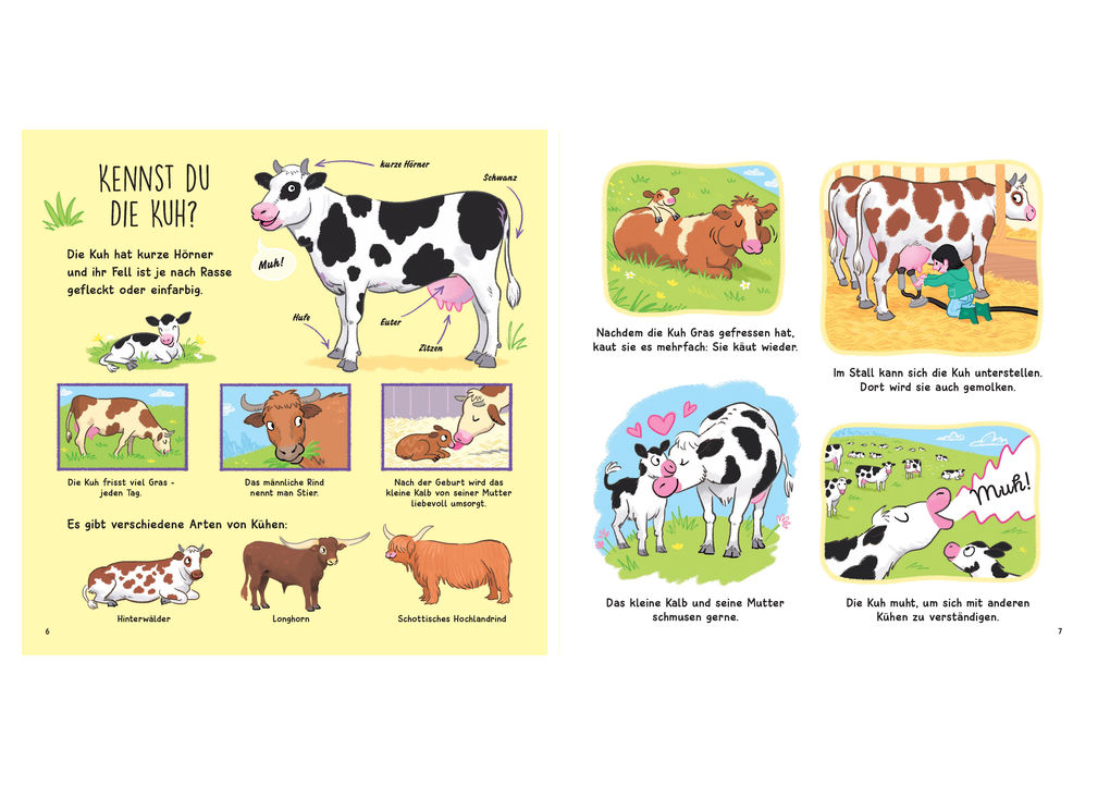 Weitere Ansicht: Kennst du die Tierkinder? - Sachbilderbuch für Kinder ab 3 Jahren | Olivier Le Gall
