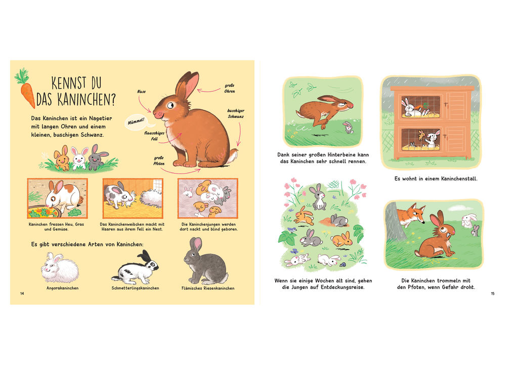 Weitere Ansicht: Kennst du die Tierkinder? - Sachbilderbuch für Kinder ab 3 Jahren | Olivier Le Gall