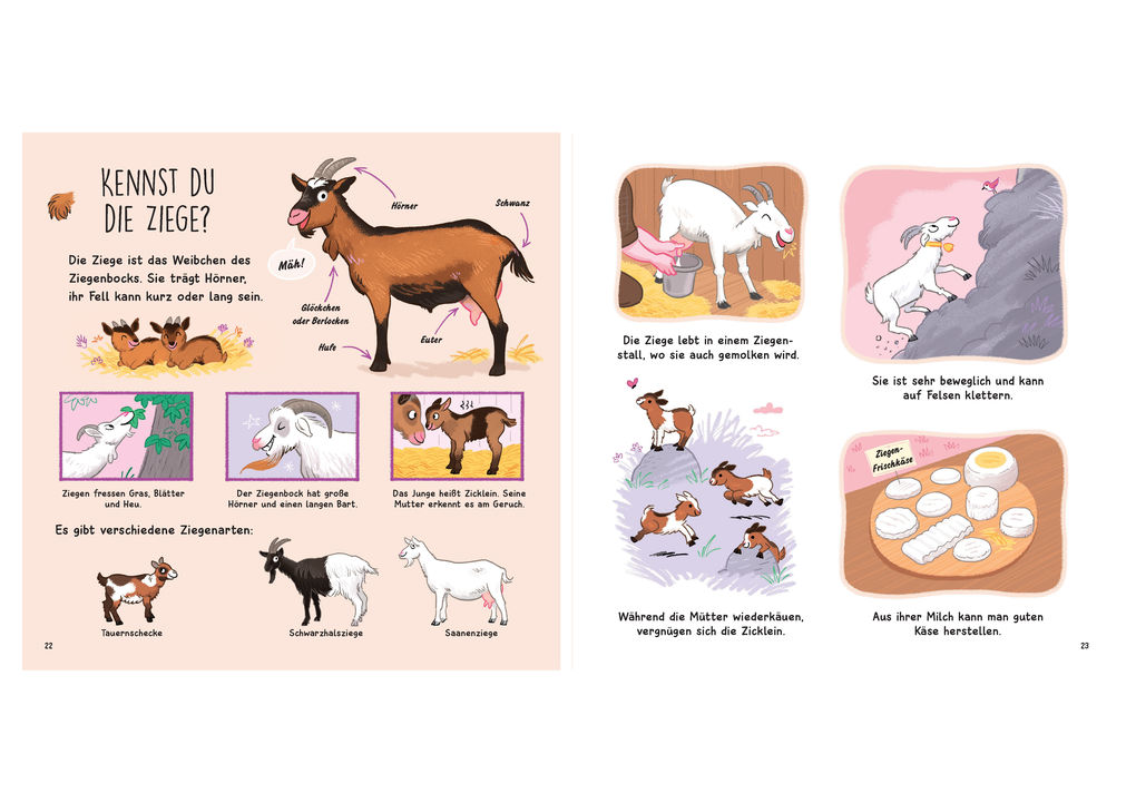 Weitere Ansicht: Kennst du die Tierkinder? - Sachbilderbuch für Kinder ab 3 Jahren | Olivier Le Gall