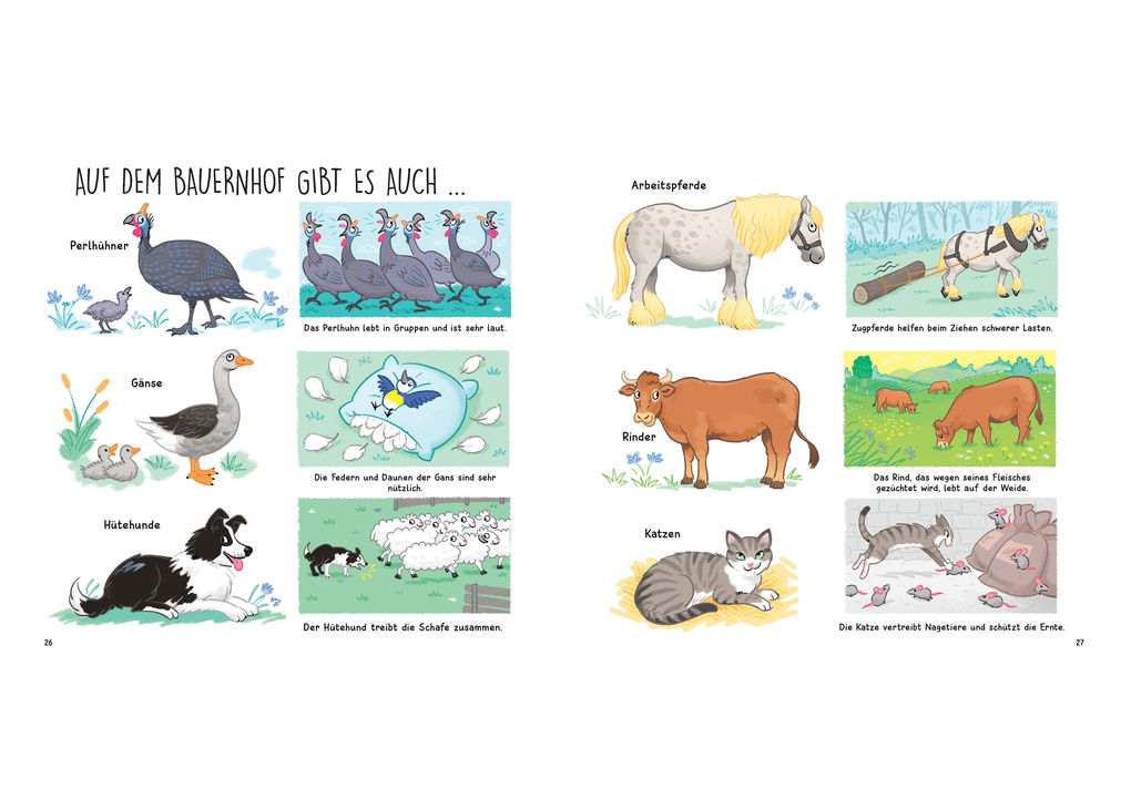 Weitere Ansicht: Kennst du die Tierkinder? - Sachbilderbuch für Kinder ab 3 Jahren | Olivier Le Gall
