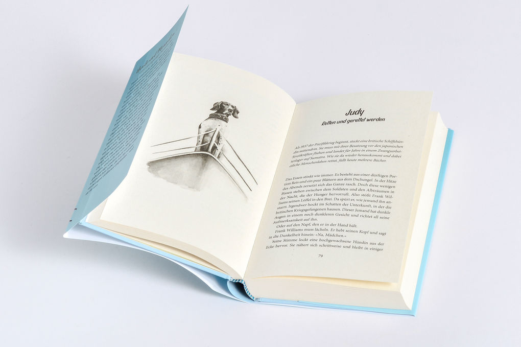 Weitere Ansicht: Hundehelden | Katharina Jakob