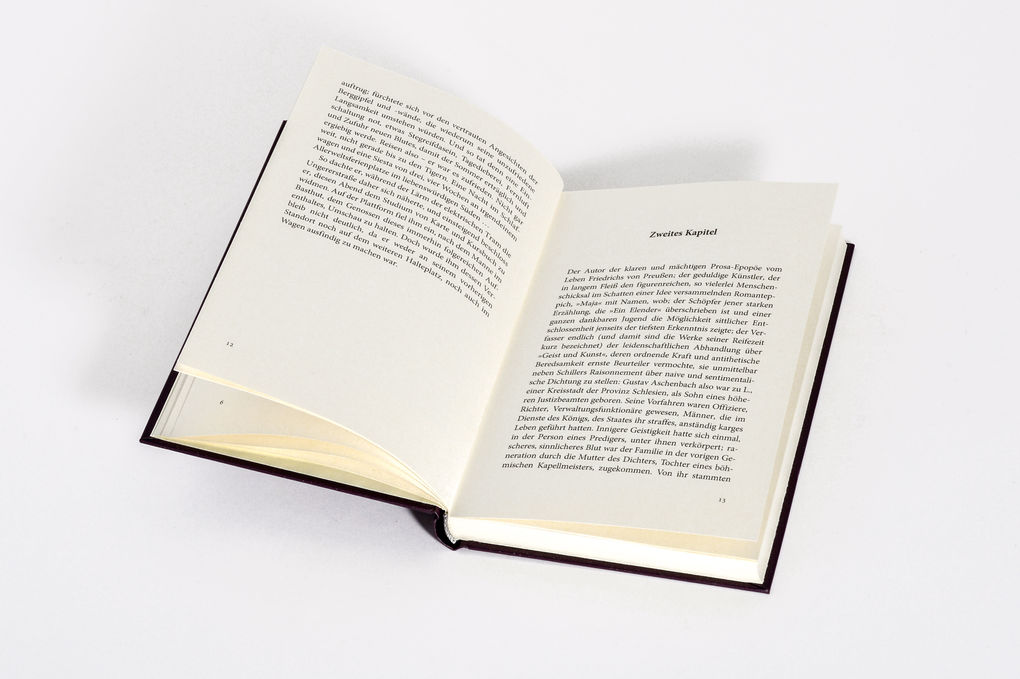 Weitere Ansicht: Der Tod in Venedig | Thomas Mann