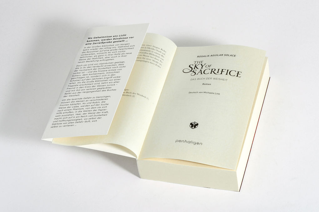 Weitere Ansicht: The Sky of Sacrifice | Rosalia Aguilar Solace