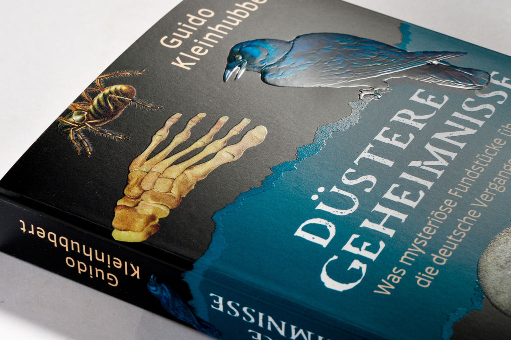Weitere Ansicht: Düstere Geheimnisse | Guido Kleinhubbert