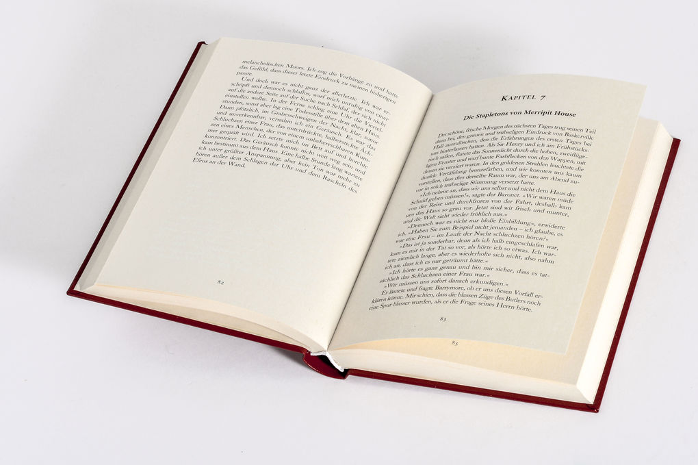 Weitere Ansicht: Die Zeitmaschine. Roman | H. G. Wells