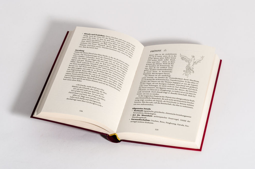 Weitere Ansicht: WitchSpirits - Erlerne die Hohe Hexenkunst | Shisha Rainbow