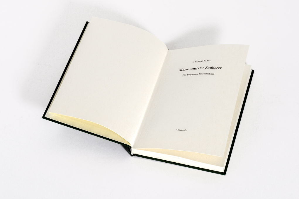 Weitere Ansicht: Mario und der Zauberer | Thomas Mann