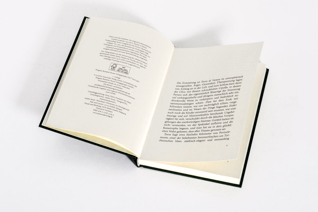 Weitere Ansicht: Mario und der Zauberer | Thomas Mann