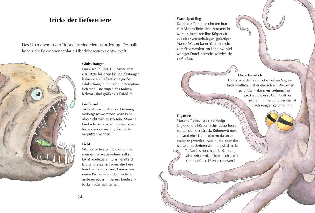 Weitere Ansicht: Alles klar! Der kleine Drache Kokosnuss erforscht die Ozeane | Ingo Siegner