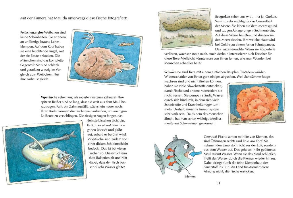 Weitere Ansicht: Alles klar! Der kleine Drache Kokosnuss erforscht die Ozeane | Ingo Siegner