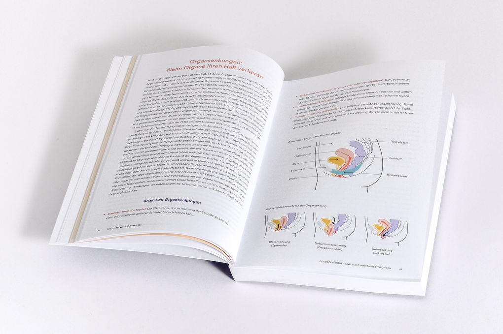 Weitere Ansicht: Die Beckenboden-Revolution | Katharina Charissé, Rieke Hermann