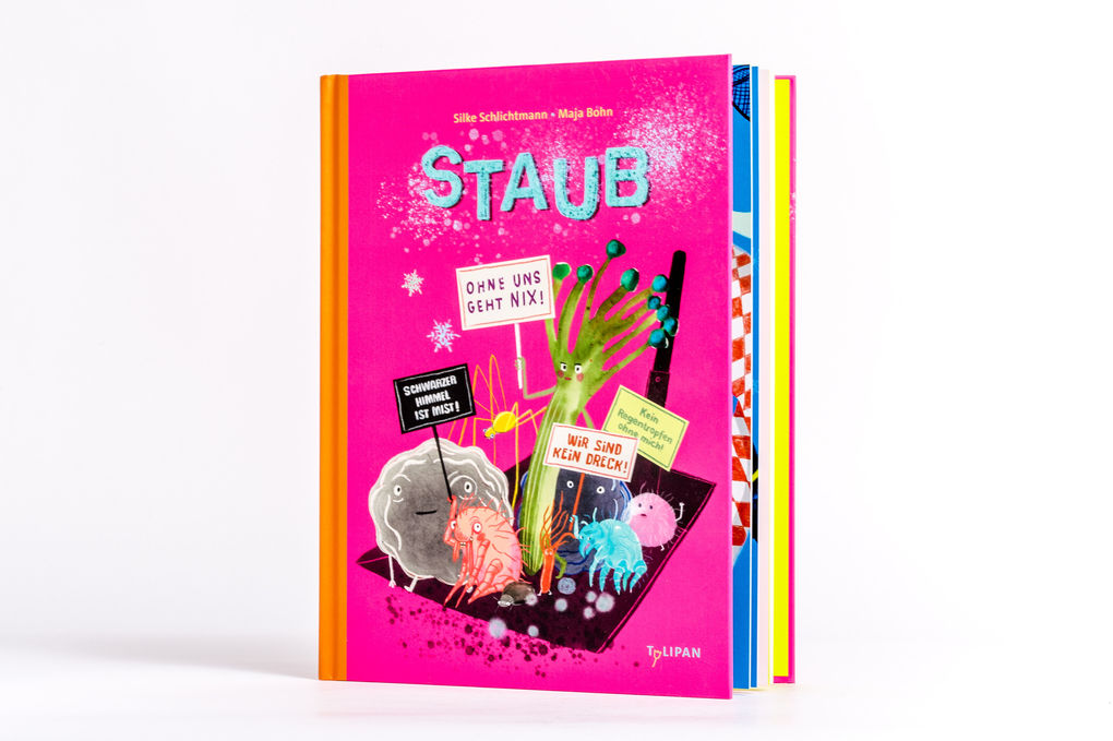 Weitere Ansicht: Staub | Silke Schlichtmann