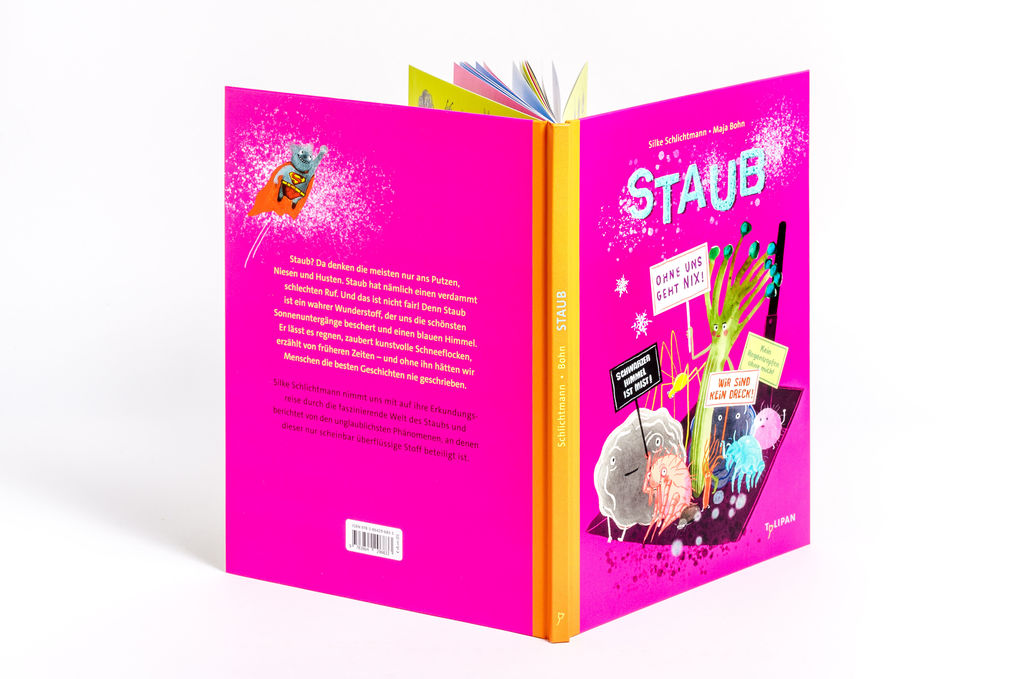 Weitere Ansicht: Staub | Silke Schlichtmann
