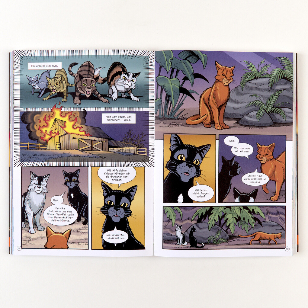 Weitere Ansicht: Warrior Cats - Rabenpfotes Weg | Erin Hunter, Dan Jolley