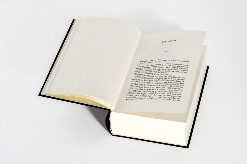 Weitere Ansicht: Buddenbrooks. Verfall einer Familie. Roman | Thomas Mann