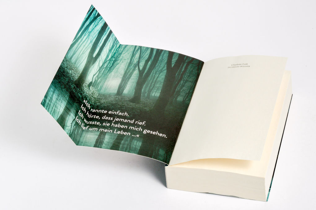 Weitere Ansicht: Dunkles Wasser | Charlotte Link