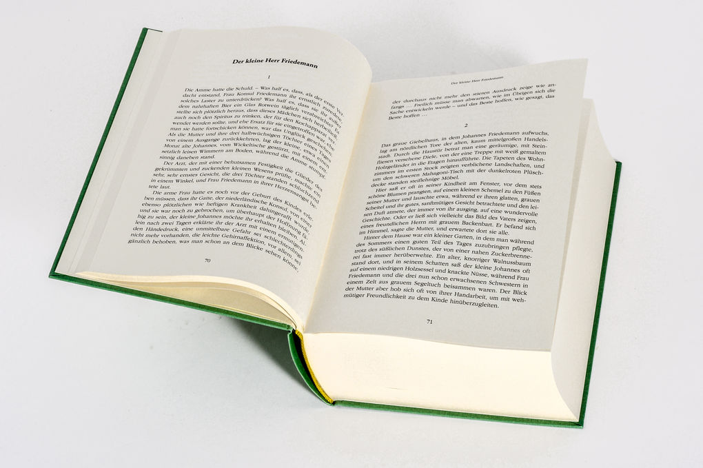 Weitere Ansicht: Thomas Mann, Gesammelte Werke: Die Erzählungen | Thomas Mann