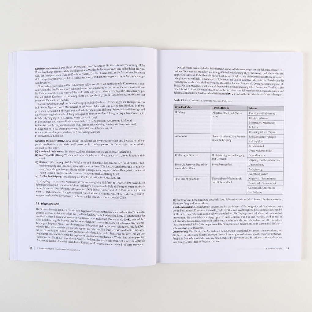 Weitere Ansicht: Therapie-Tools Emotionale Grundbedürfnisse | Johannes Heßler-Kaufmann